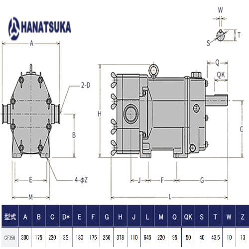 Hanatsuka-CF350-pump