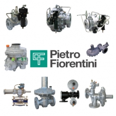 Nhà Phân Phối Pietro Fiorentini tại Việt Nam